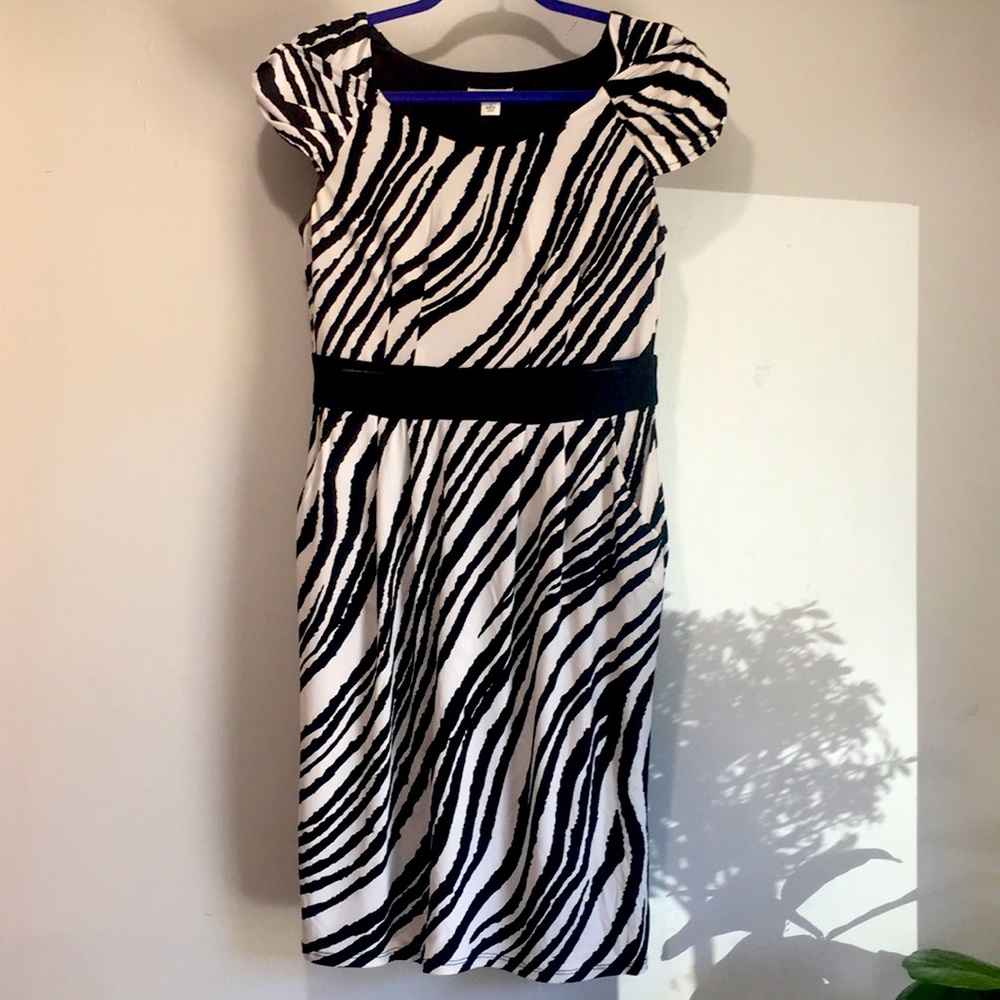 CATO®️ sz-S Black/White Zebra 🦓 Print Dress